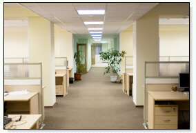 Carpet Cleaning Stockbridge